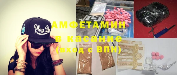 ГАЛЛЮЦИНОГЕННЫЕ ГРИБЫ Богданович