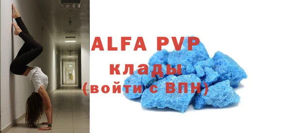 ГАЛЛЮЦИНОГЕННЫЕ ГРИБЫ Богданович