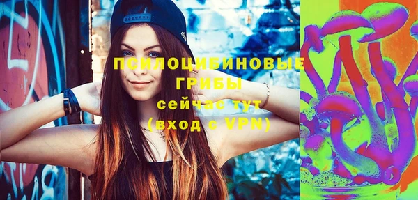 PSILOCYBIN Баксан