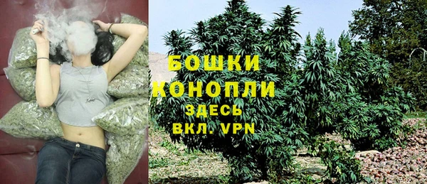 ГАЛЛЮЦИНОГЕННЫЕ ГРИБЫ Богданович