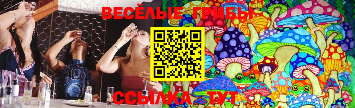 Галлюциногенные грибы Cubensis Гулькевичи